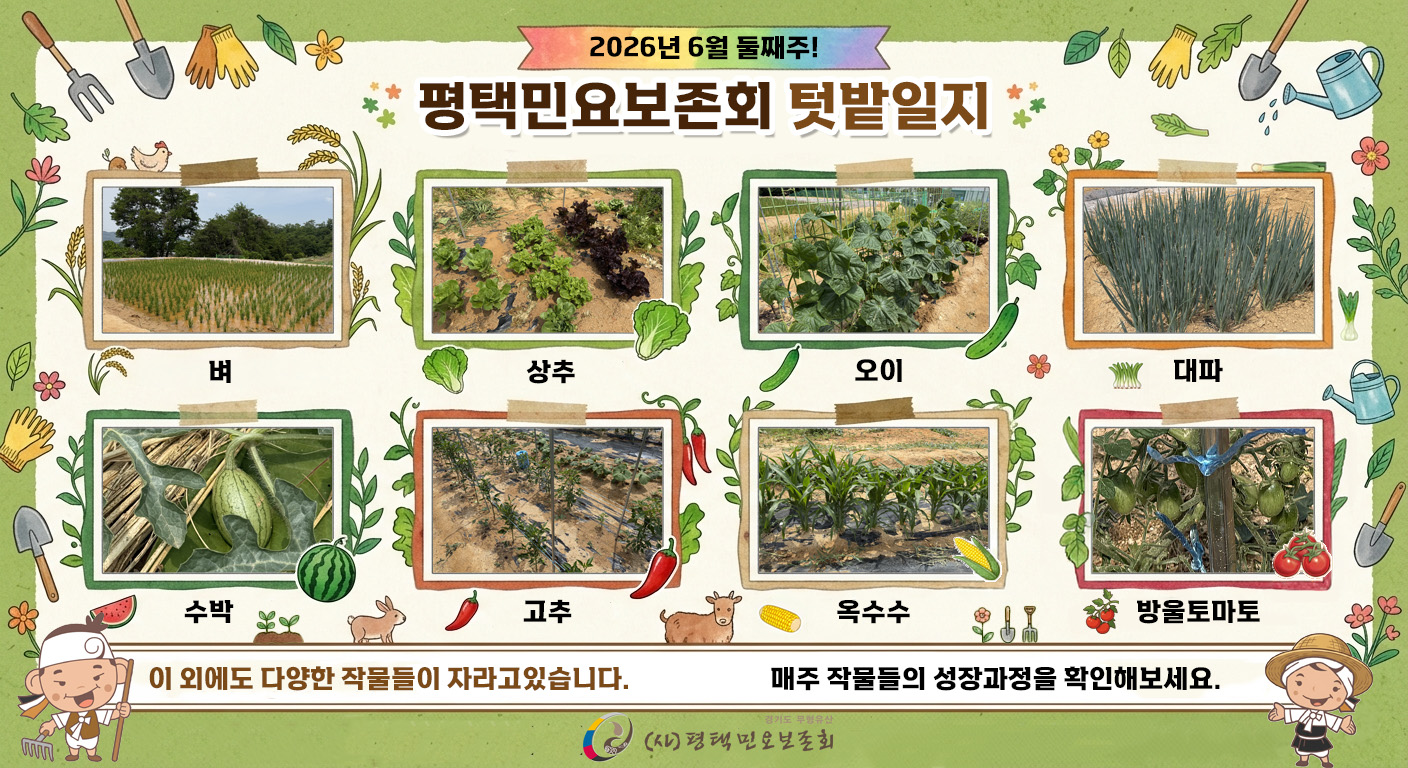 F293_6월2째주.jpg