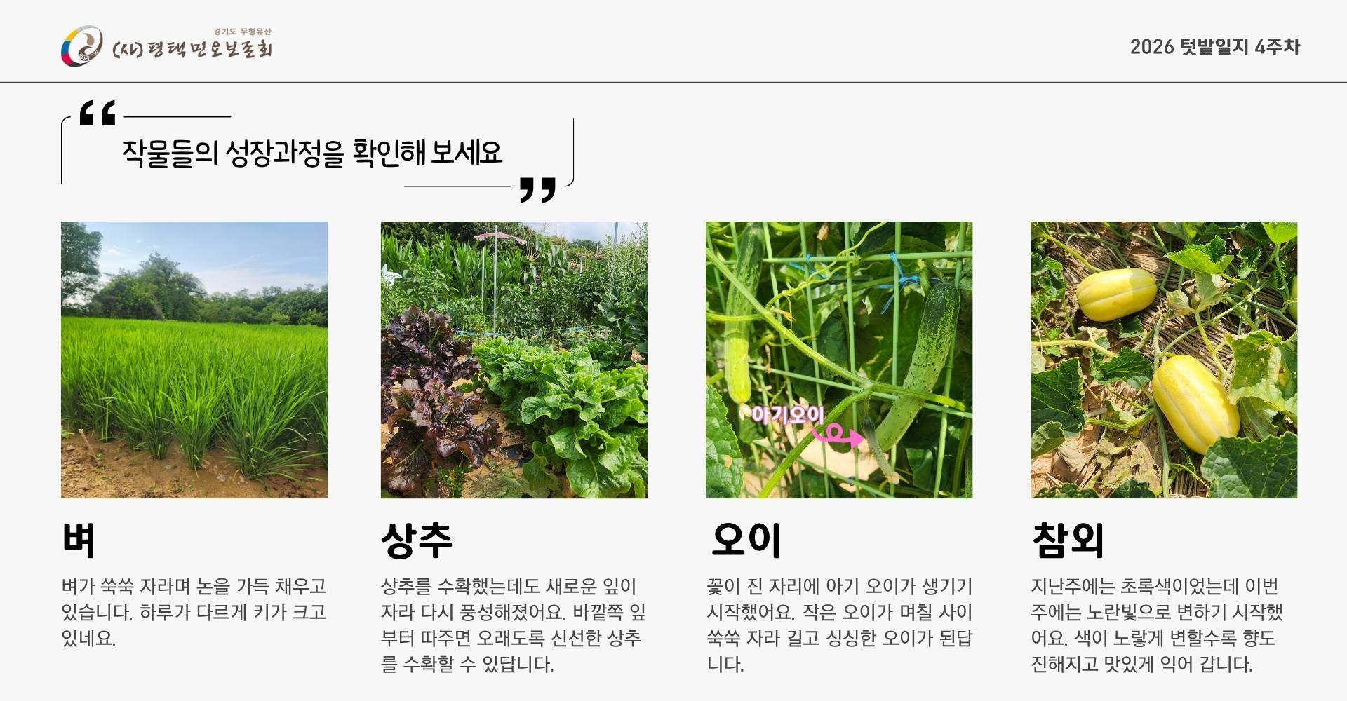 텃밭일지 4주차 (2).jpg