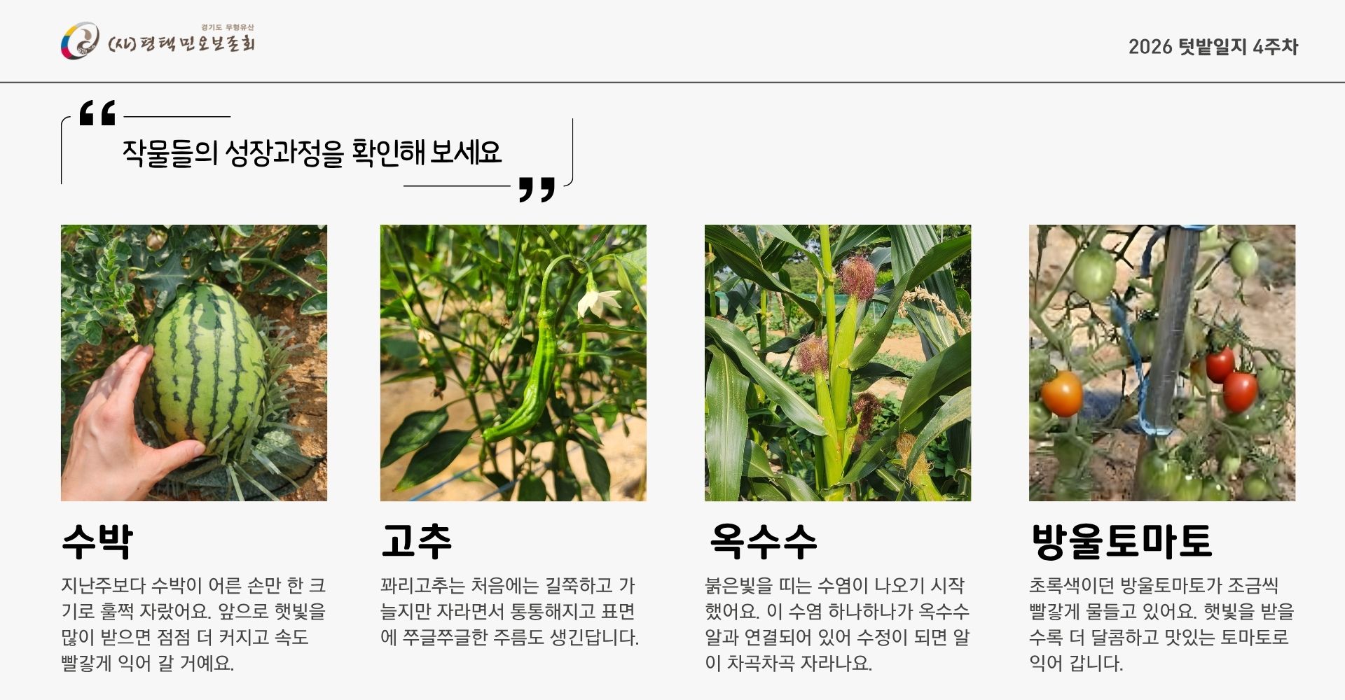 텃밭일지 4주차 (1).jpg