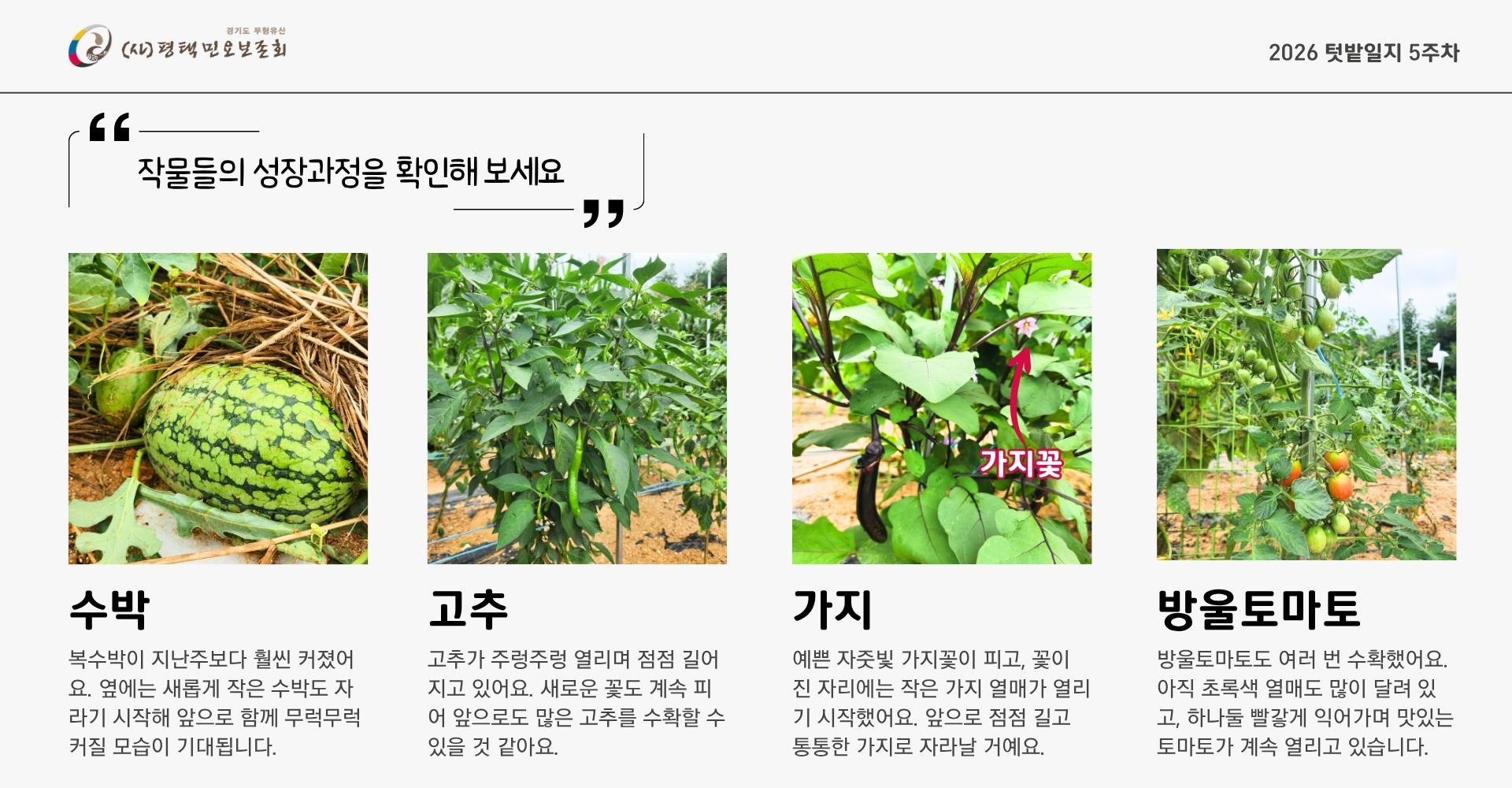 텃밭일지 5주차 (1).jpg
