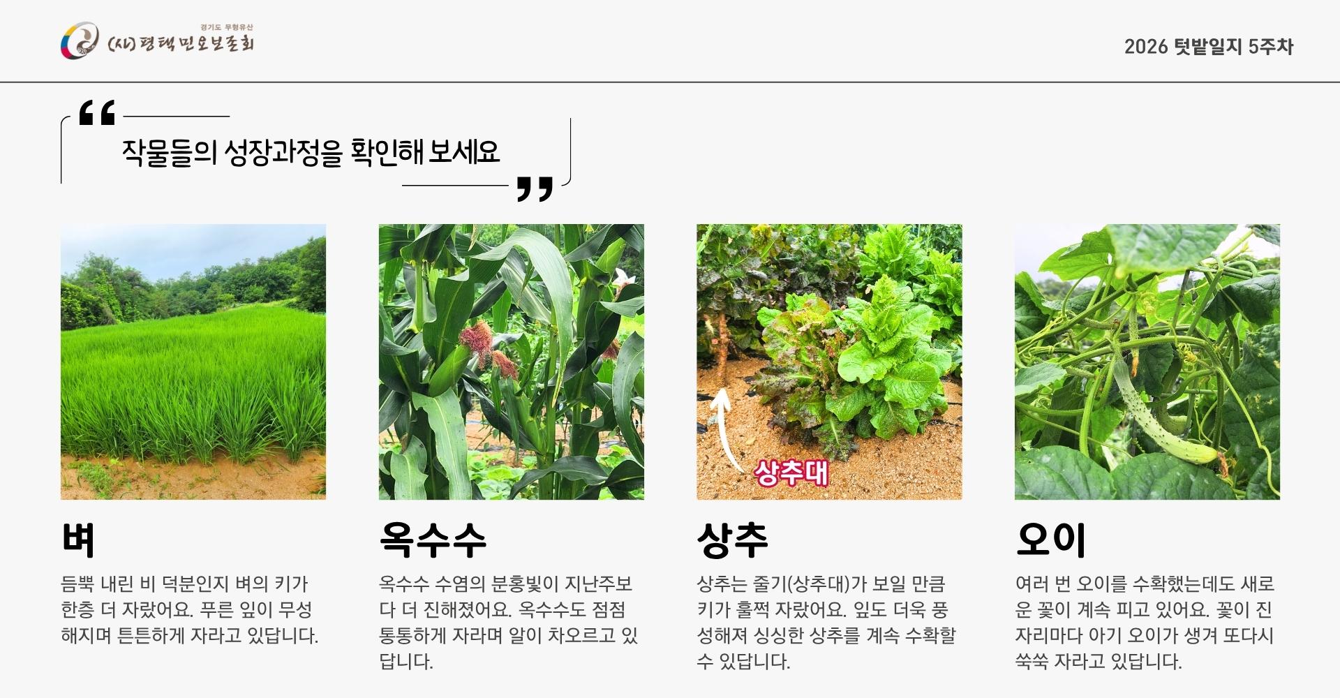 텃밭일지 5주차 (2).jpg