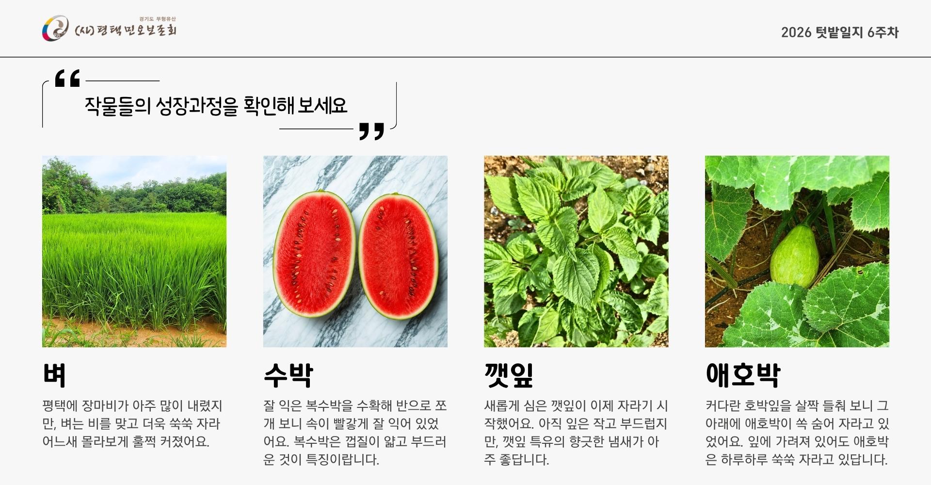 텃밭일지6주차-1.jpg