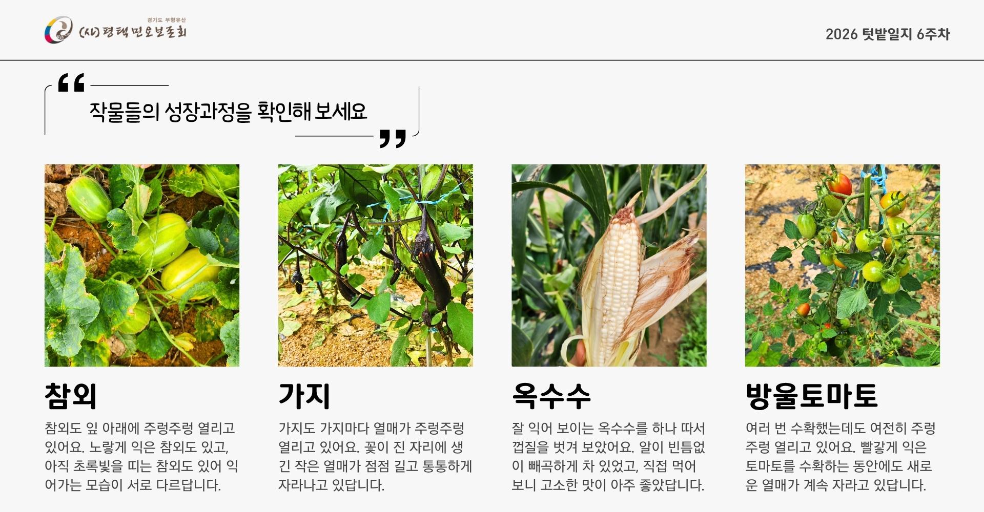 텃밭일지6주차-2.jpg