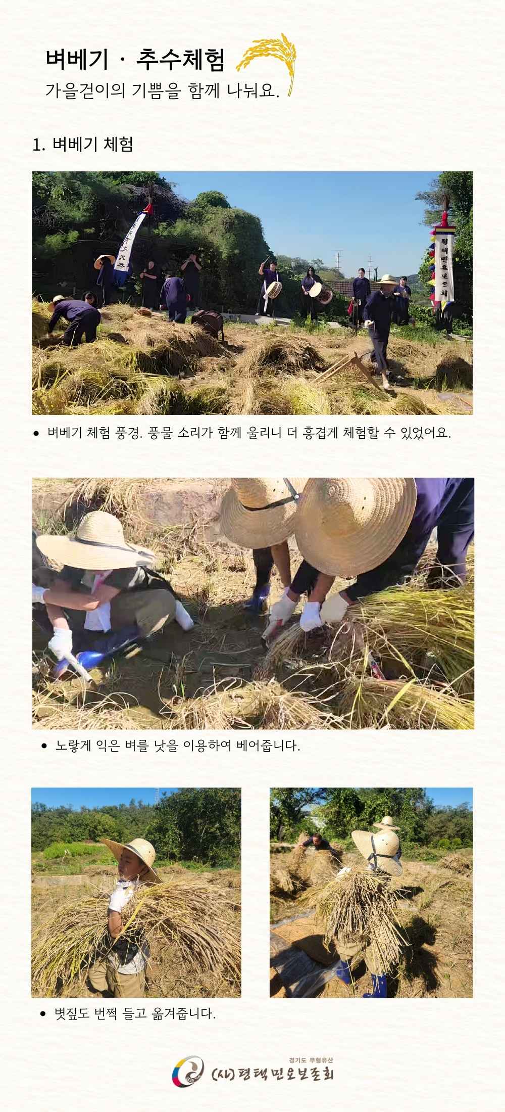 수확체험.jpg 수확체험.jpg