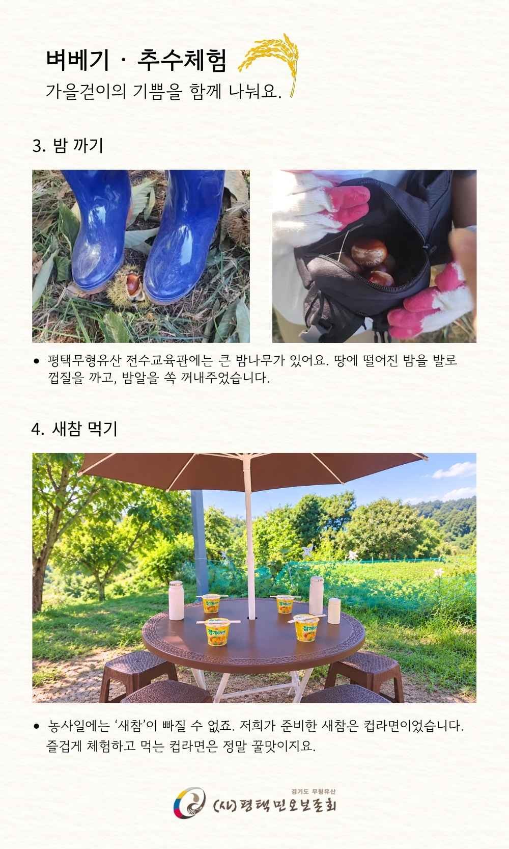 수확체험 (2).jpg 수확체험 (2).jpg
