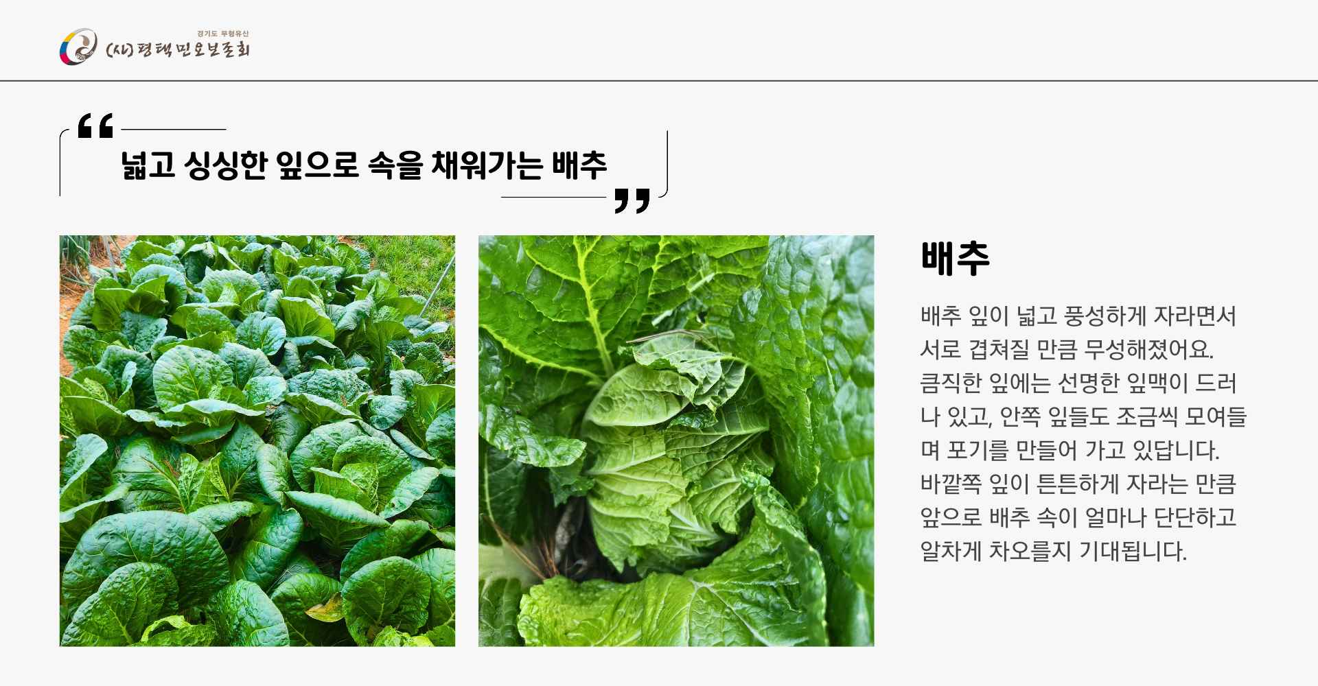 텃밭일지 4주차 (1).jpg